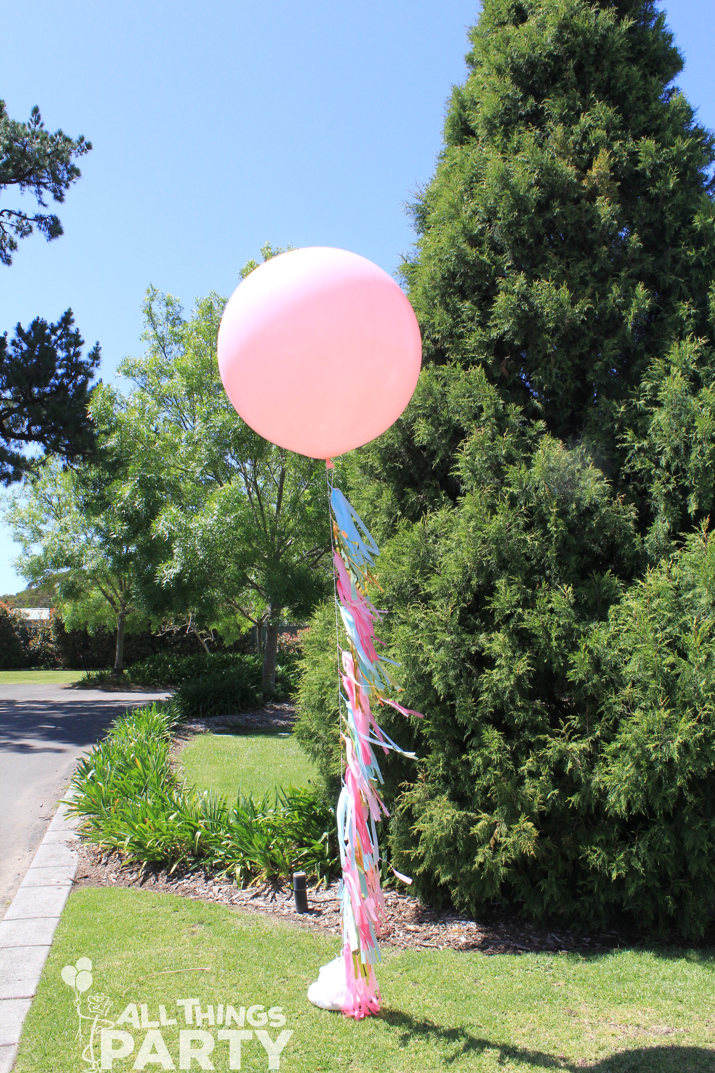 Giant Balloons, Confetti Balloons, Tulle Balloons
