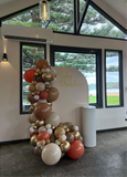 White, Black, Beige, Pink, Blue or Lilac Arch Backdrop Wall Hire with Balloon Garland #WHBD