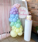 Easel  and Disc with  Balloon Garland HIRE Price from