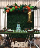 Green Wall Square Backdrop with Balloon Garland HIRE ITEM, price from