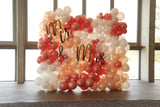 Balloon Wall Extra Large Organic Balloon Wall or Character Wall HIRE