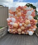 Balloon Wall Extra Large Organic Balloon Wall or Character Wall HIRE