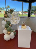 Easel  and Disc with  Balloon Garland HIRE Price from