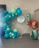 Round Mesh Wall with Organic Balloon Garland HIRE ITEM