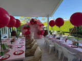 Organic Balloon Garland Grab and Go per metre FROM: