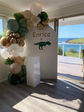 White, Black, Beige, Pink, Blue or Lilac Arch Backdrop Wall Hire with Balloon Garland #WHBD
