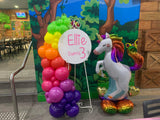 Easel  and Disc with  Balloon Garland HIRE Price from