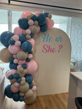 White, Black, Beige, Pink, Blue or Lilac Arch Backdrop Wall Hire with Balloon Garland #WHBD