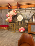 Round Mesh Wall with Organic Balloon Garland HIRE ITEM