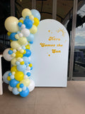 White, Black, Beige, Pink, Blue or Lilac Arch Backdrop Wall Hire with Balloon Garland #WHBD