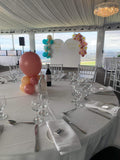White, Black, Beige, Pink, Blue or Lilac Arch Backdrop Wall Hire with Balloon Garland #WHBD