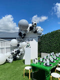 White, Black, Beige, Pink, Blue or Lilac Arch Backdrop Wall Hire with Balloon Garland #WHBD
