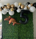 Green Wall Square Backdrop with Balloon Garland HIRE ITEM, price from