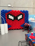 Balloon Wall Extra Large Organic Balloon Wall or Character Wall HIRE