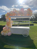 Organic Balloon Garland Grab and Go per metre FROM: