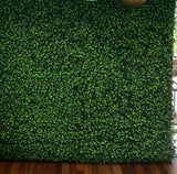 Green Wall Square Backdrop with Balloon Garland HIRE ITEM, price from