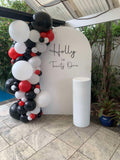 White, Black, Beige, Pink, Blue or Lilac Arch Backdrop Wall Hire with Balloon Garland #WHBD