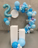 Round Mesh Wall with Organic Balloon Garland HIRE ITEM