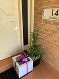 Surprise Balloon Gift Box -Price from