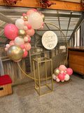 Round Mesh Wall with Organic Balloon Garland HIRE ITEM