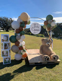 Round Mesh Wall with Organic Balloon Garland HIRE ITEM