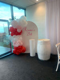 White, Black, Beige, Pink, Blue or Lilac Arch Backdrop Wall Hire with Balloon Garland #WHBD