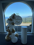 Easel  and Disc with  Balloon Garland HIRE Price from
