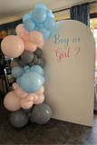 White, Black, Beige, Pink, Blue or Lilac Arch Backdrop Wall Hire with Balloon Garland #WHBD