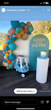 Organic Balloon Garland Grab and Go per metre FROM: