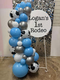 Easel  and Disc with  Balloon Garland HIRE Price from