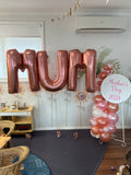 Easel  and Disc with  Balloon Garland HIRE Price from