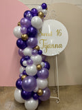 Easel  and Disc with  Balloon Garland HIRE Price from