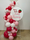Easel  and Disc with  Balloon Garland HIRE Price from