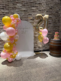 White, Black, Beige, Pink, Blue or Lilac Arch Backdrop Wall Hire with Balloon Garland #WHBD