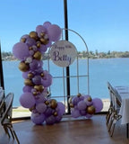 Mesh Arch White or Black or White French Window Backdrop with Balloon Garland HIRE