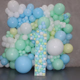 Balloon Wall Extra Large Organic Balloon Wall or Character Wall HIRE