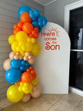 White, Black, Beige, Pink, Blue or Lilac Arch Backdrop Wall Hire with Balloon Garland #WHBD