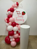 Easel  and Disc with  Balloon Garland HIRE Price from