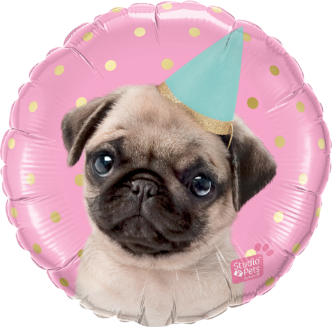 Pug Studio Pets Foil 45cm Balloon #57617