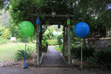 Extra Large  60cm 2ft Balloon Helium filled + weight