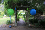 Large 60cm Latex Balloon Helium filled 3-4 day Float Time with Satin Ribbon & Balloon Weight