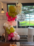 Mesh Arch White or Black or White French Window Backdrop with Balloon Garland HIRE