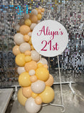 Easel  and Disc with  Balloon Garland HIRE Price from