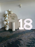Beige, Pink, Blue or Lilac Arch Backdrop Wall Hire with Balloon Garland #BPBLBD