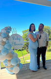 Easel  and Disc with  Balloon Garland HIRE Price from