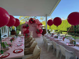 Large 60cm Latex Balloon Helium filled 3-4 day Float Time with Satin Ribbon & Balloon Weight