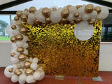 Gold , Pink, Black or Silver Shimmer Wall  with Organic Balloon Garland HIRE