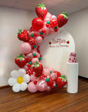 White, Black, Beige, Pink, Blue or Lilac Arch Backdrop Wall Hire with Balloon Garland #WHBD