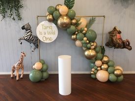 HIRE Organic Balloons with Gold Frame