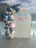 White Or Beige Backdrop Wall Hire with Balloon Garland #WHBD
